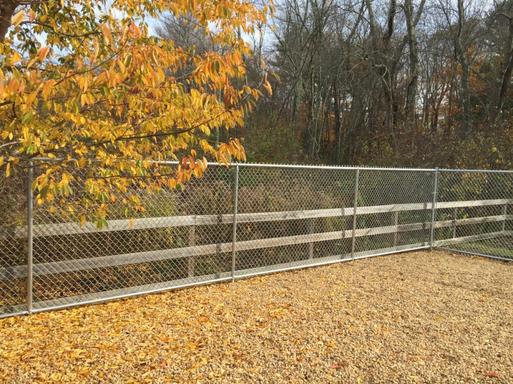 Galvanized chain linkDog Reliable Fence